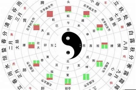 算 五行|生辰八字算命、五行喜用神查询（免费测算）